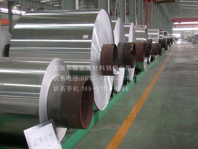 �����X���XƤ,�ܵ������X��